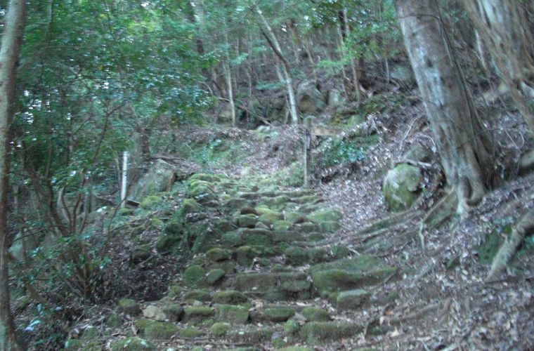 日本一周の途中で直面した、先が見えない険しい登り階段と険しい森。